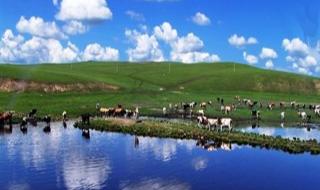 内蒙古大草原旅游