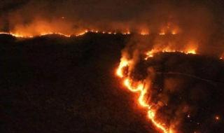 亚马逊雨林大火