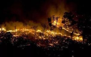 亚马逊森林火灾 亚马孙雨林是世界上最降雨丰富的地方为什么会发生森林火灾