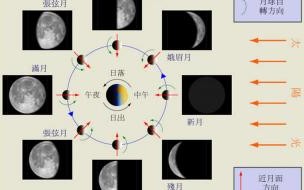 月球的自转周期 月亮的公转和自转周期