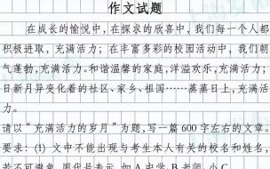 上海中考作文题 上海中考作文42分算好吗