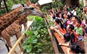 广州动物园好玩吗 广州的动物园为什么很受欢迎